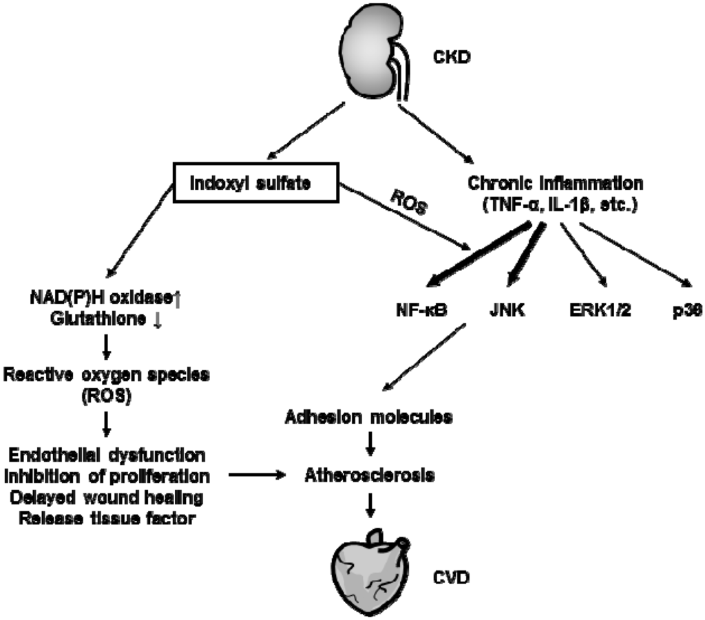 Toxins 06 00665 g003 1024