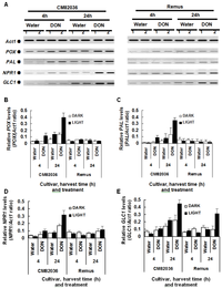 Toxins 06 00679 g003 200