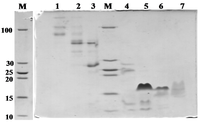 Toxins 06 00850 g002 200