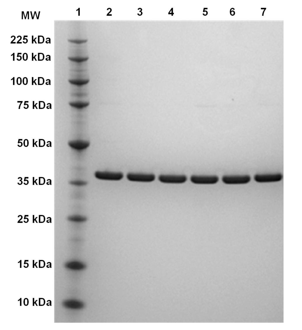 Toxins 06 01049 g001 1024