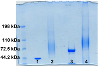Toxins 06 01385 g002 200