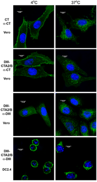 Toxins 06 01397 g002 200