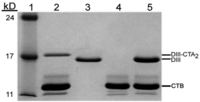 Toxins 06 01397 g003 200