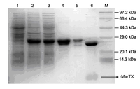 Toxins 06 01419 g002 200