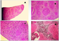 Toxins 06 01471 g001 200