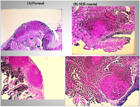 Toxins 06 01471 g002 200
