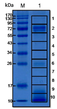 Toxins 06 01526 g001 200