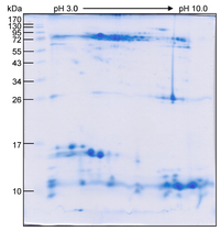 Toxins 06 01526 g002 200