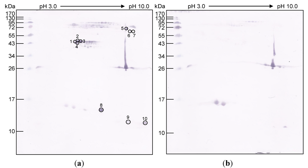 Toxins 06 01526 g003 1024