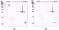 Toxins 06 01526 g004 200