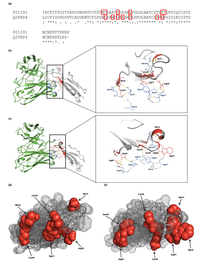 Toxins 06 01526 g005 200