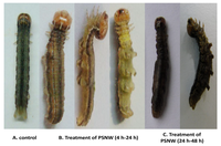 Toxins 06 01575 g001 200