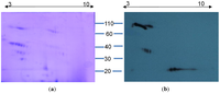 Toxins 06 01586 g005 200
