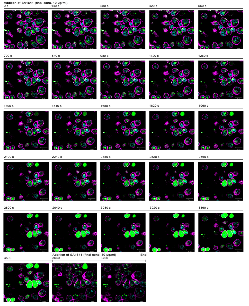 Toxins 06 01644 g003 1024