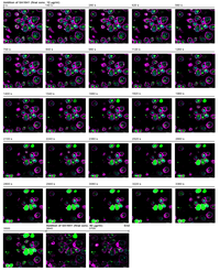 Toxins 06 01644 g003 200
