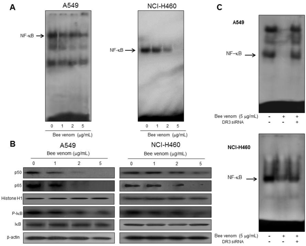 Toxins 06 02210 g005 1024