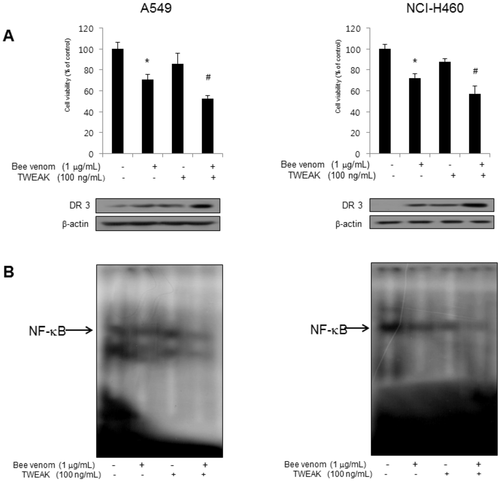 Toxins 06 02210 g006 1024