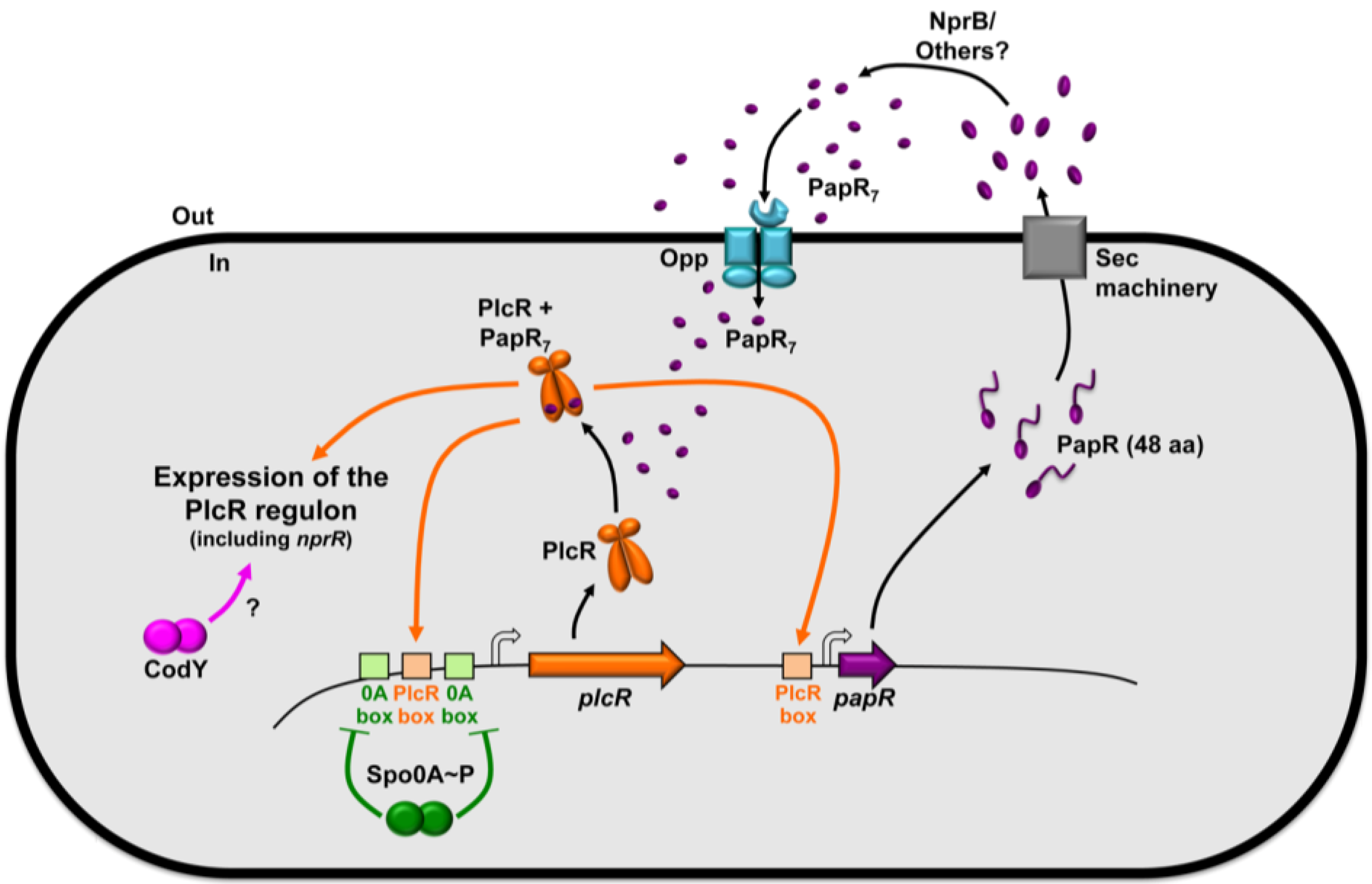 download urban airborne particulate matter origin chemistry fate