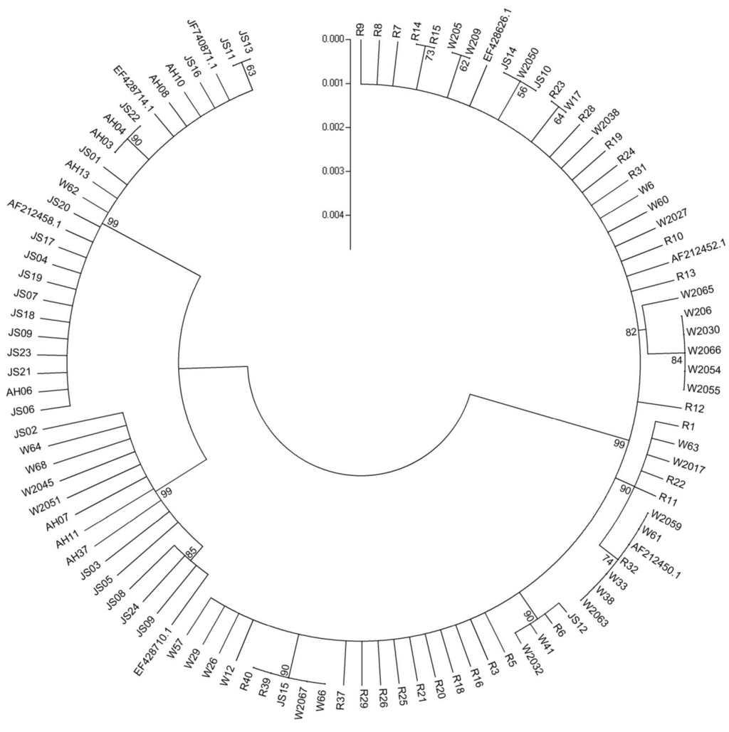 Toxins 06 02291 g001 1024