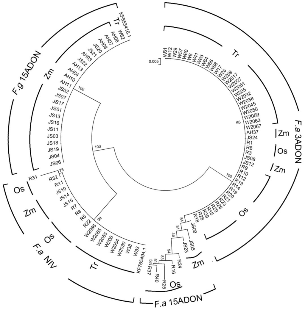 Toxins 06 02291 g002 1024