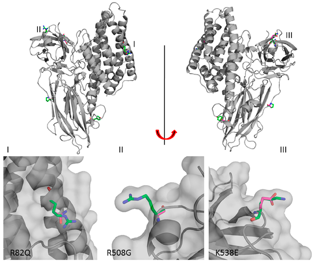 Toxins 06 02393 g007 1024