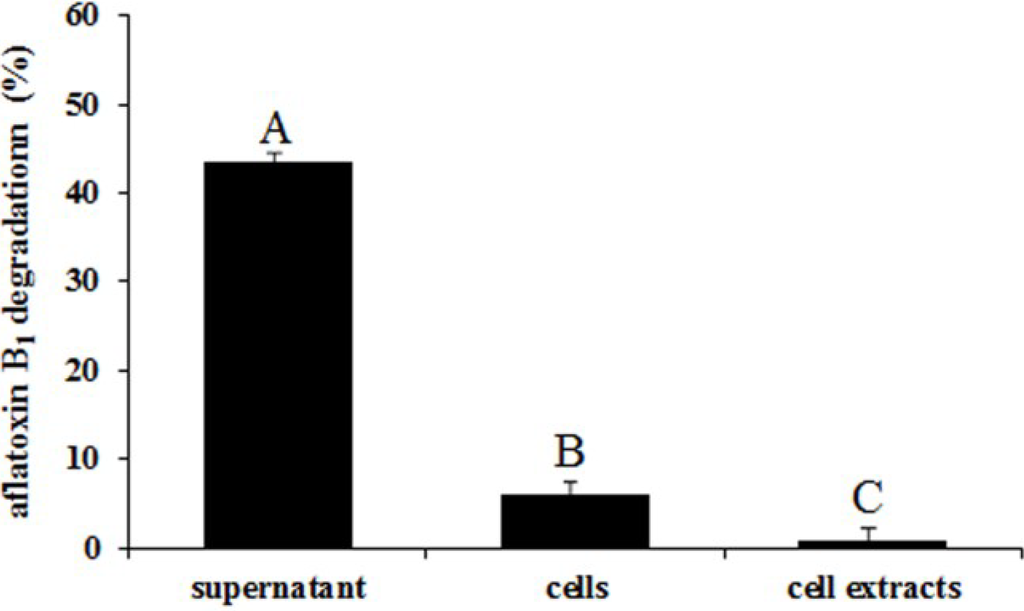 Suggestions Online Images Of Margin Error Equation Standard Error Formula Sem Of The