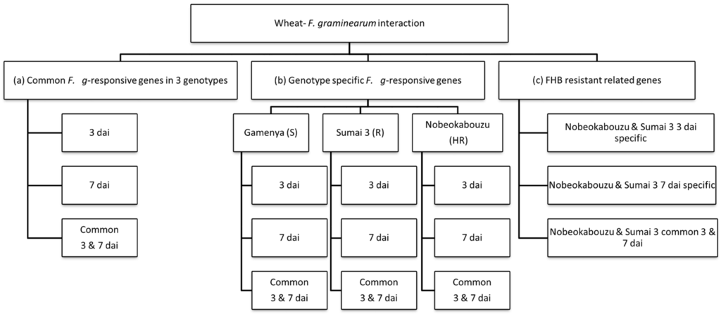 ebook international journal of engineering research