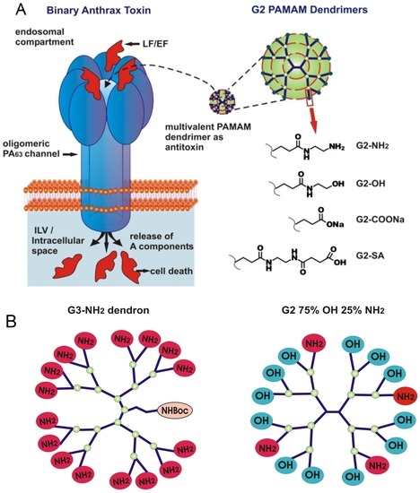 view the power of click chemistry for molecular machines and surface patterning