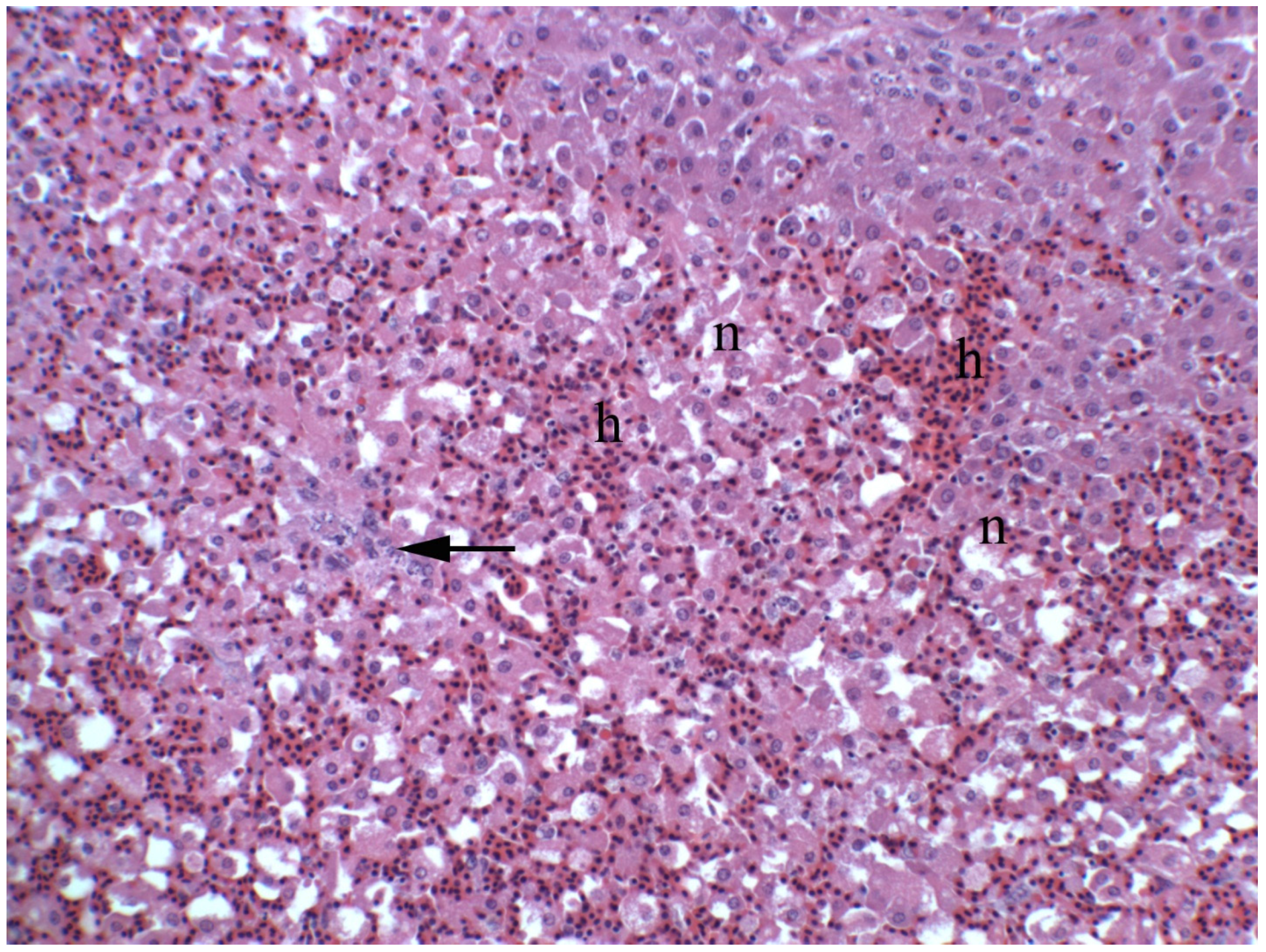 Toxins 08 00356 g003