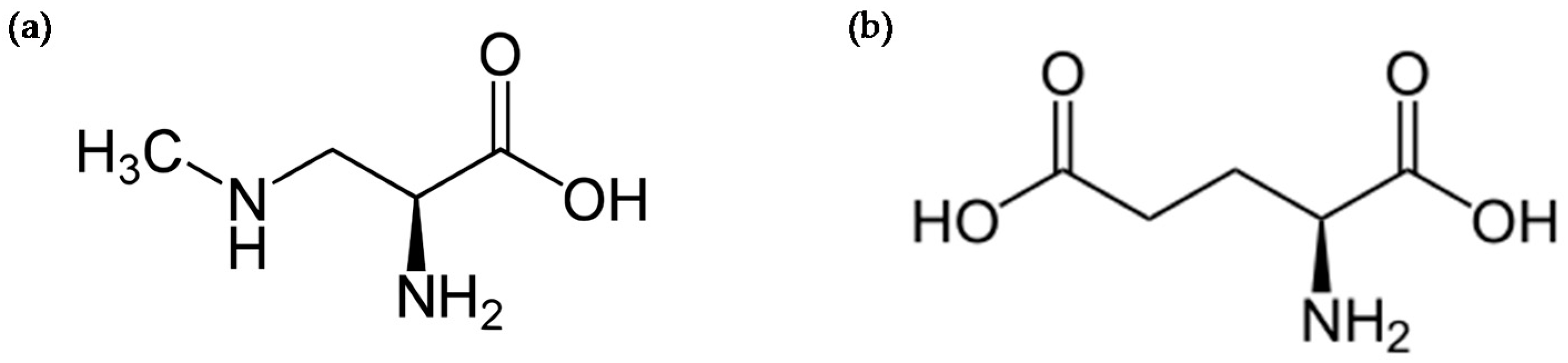 online anwendung der thermodynamik