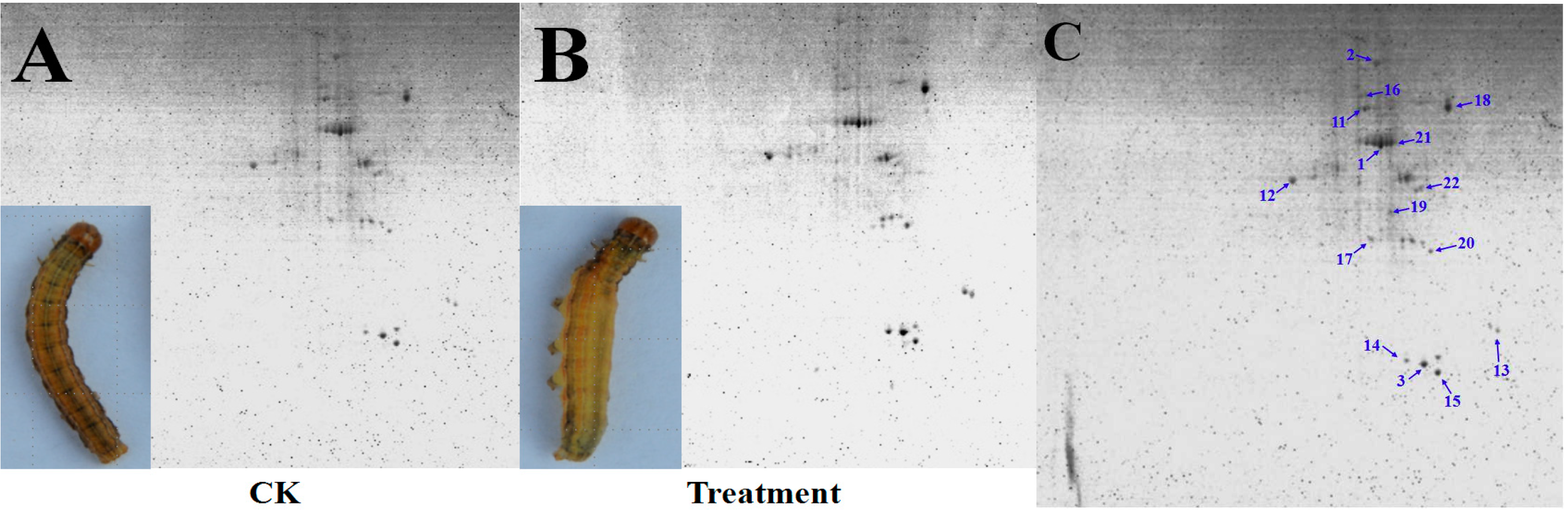 Toxins 10 00007 g002a
