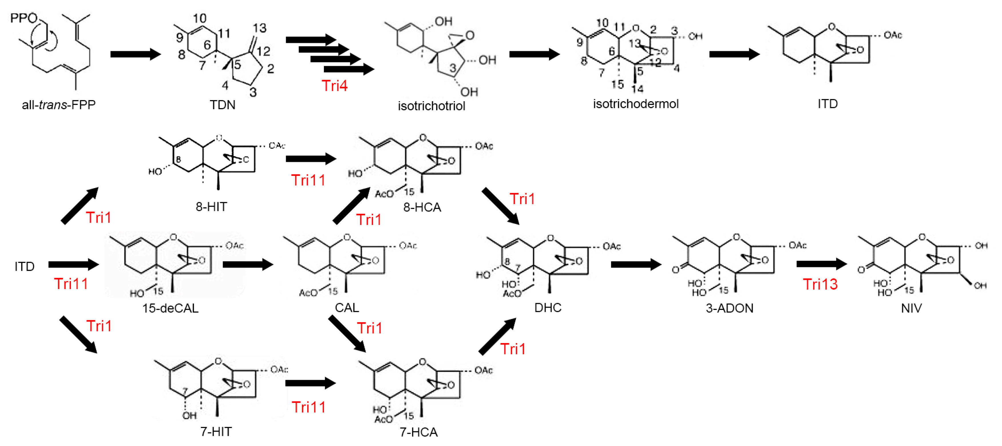 Toxins 10 00112 g004