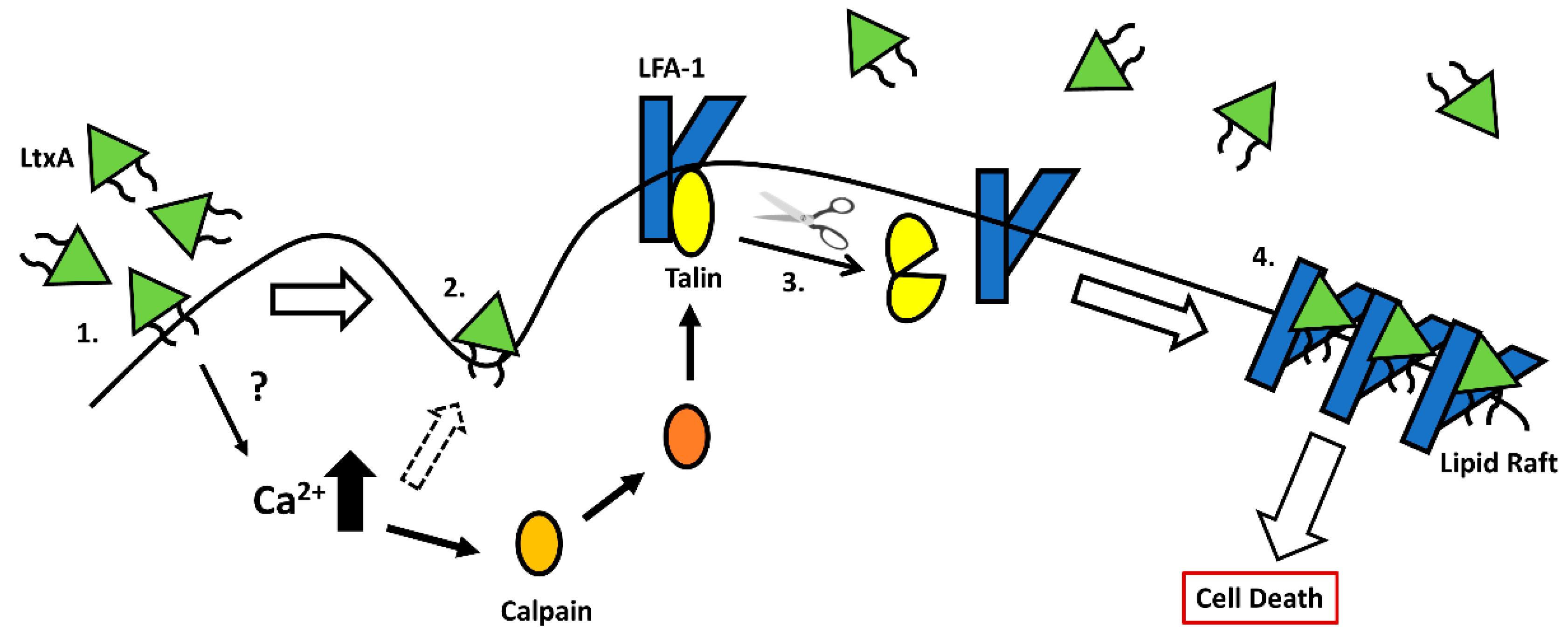 Toxins 11 00489 g001 Toxins 11 00489 g001