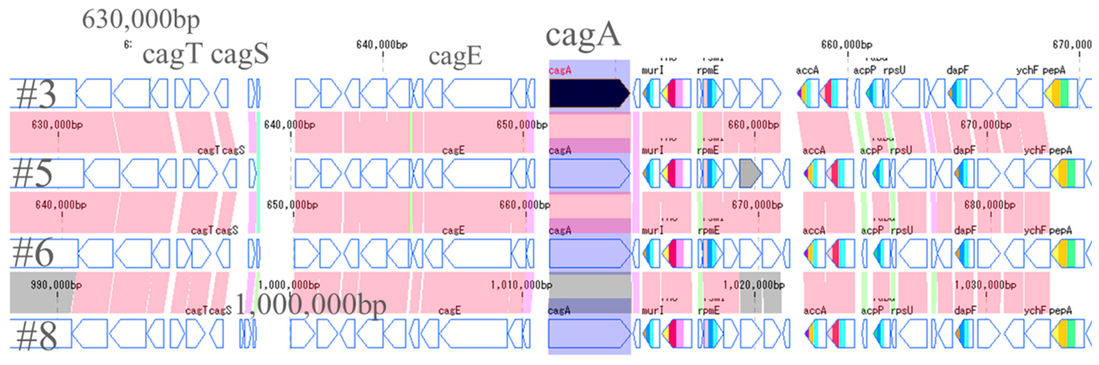 Toxins 13 00467 g004