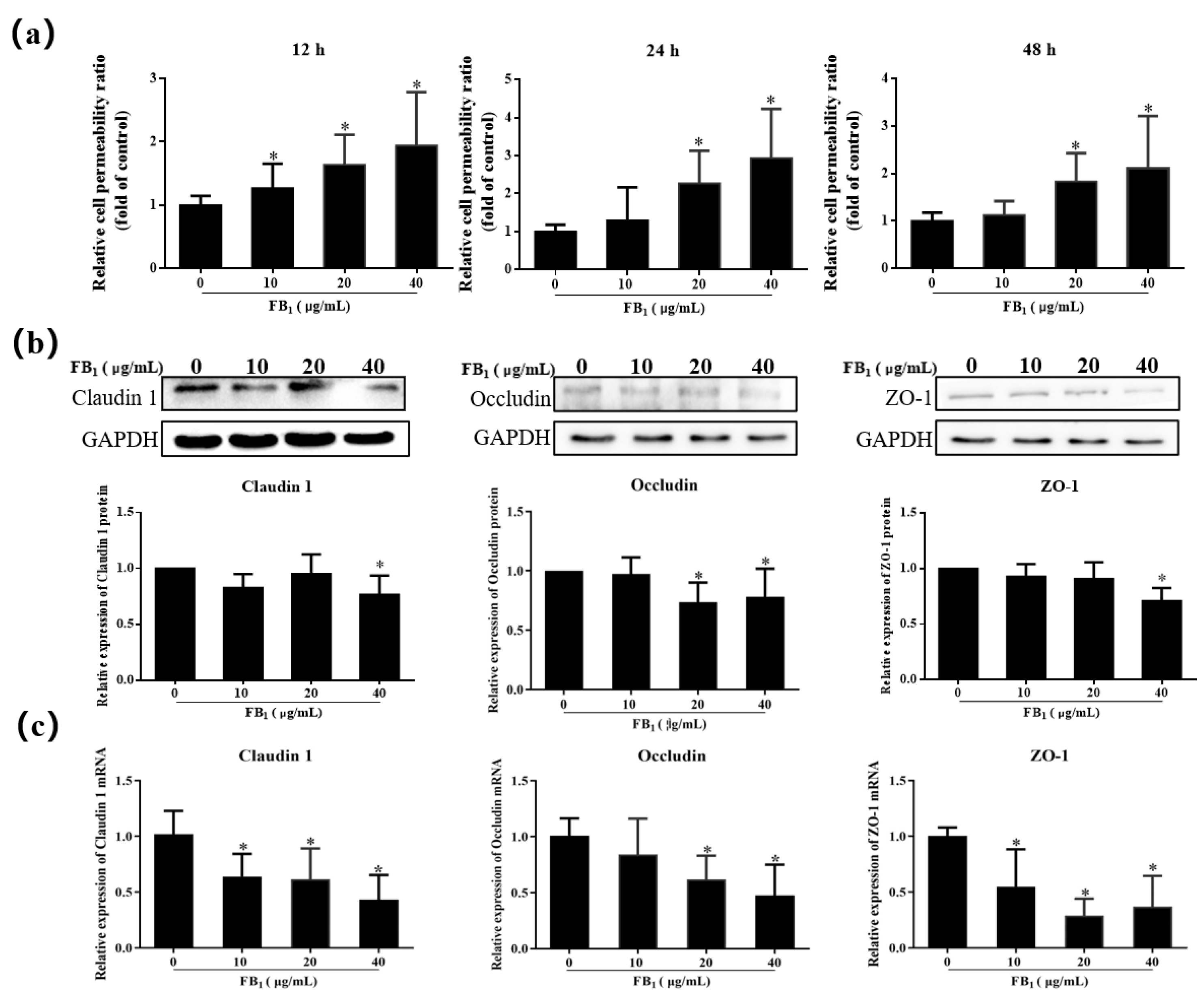 Toxins 13 00863 g004