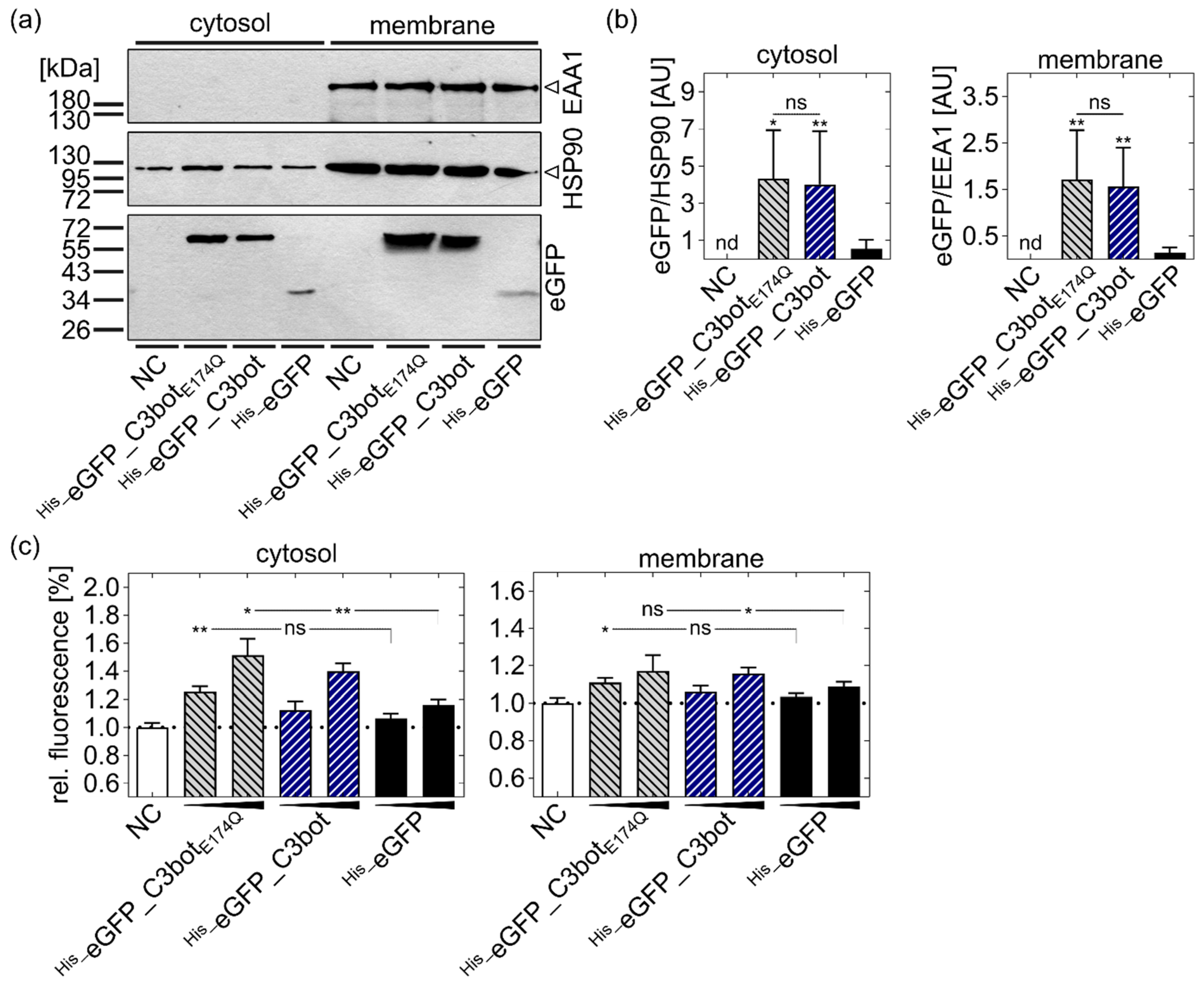 Toxins 14 00711 g005