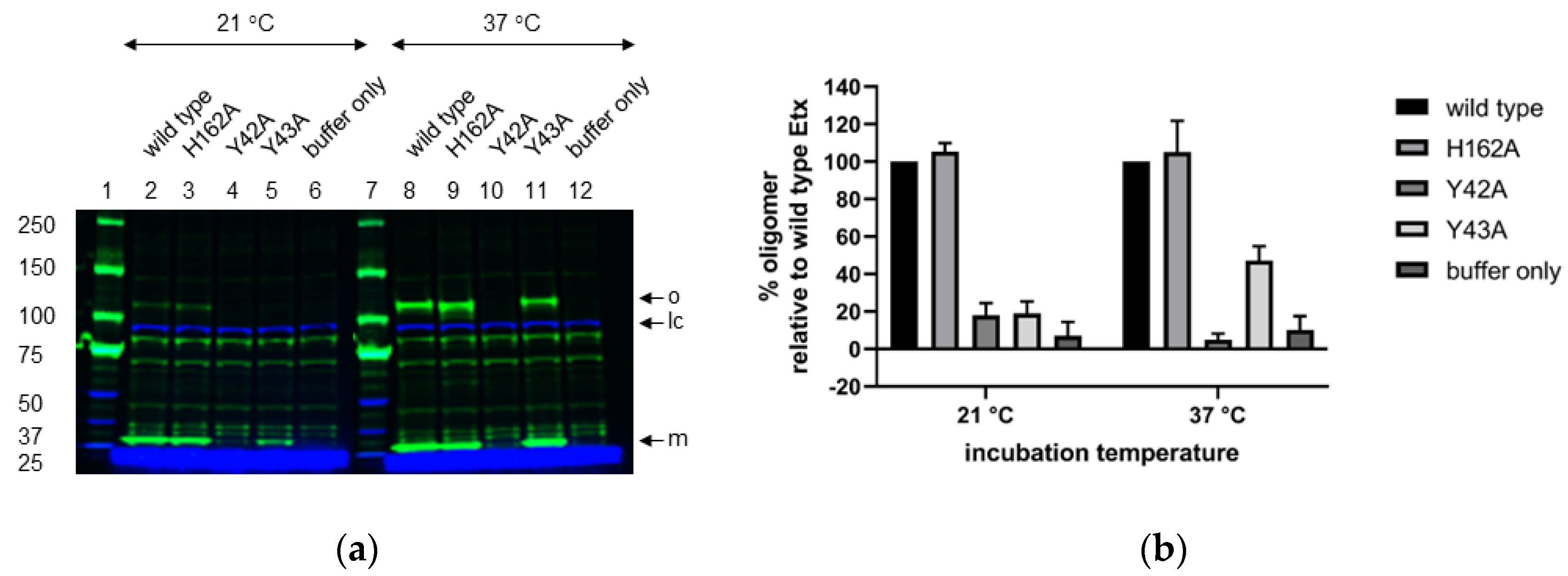 Toxins 14 00757 g004