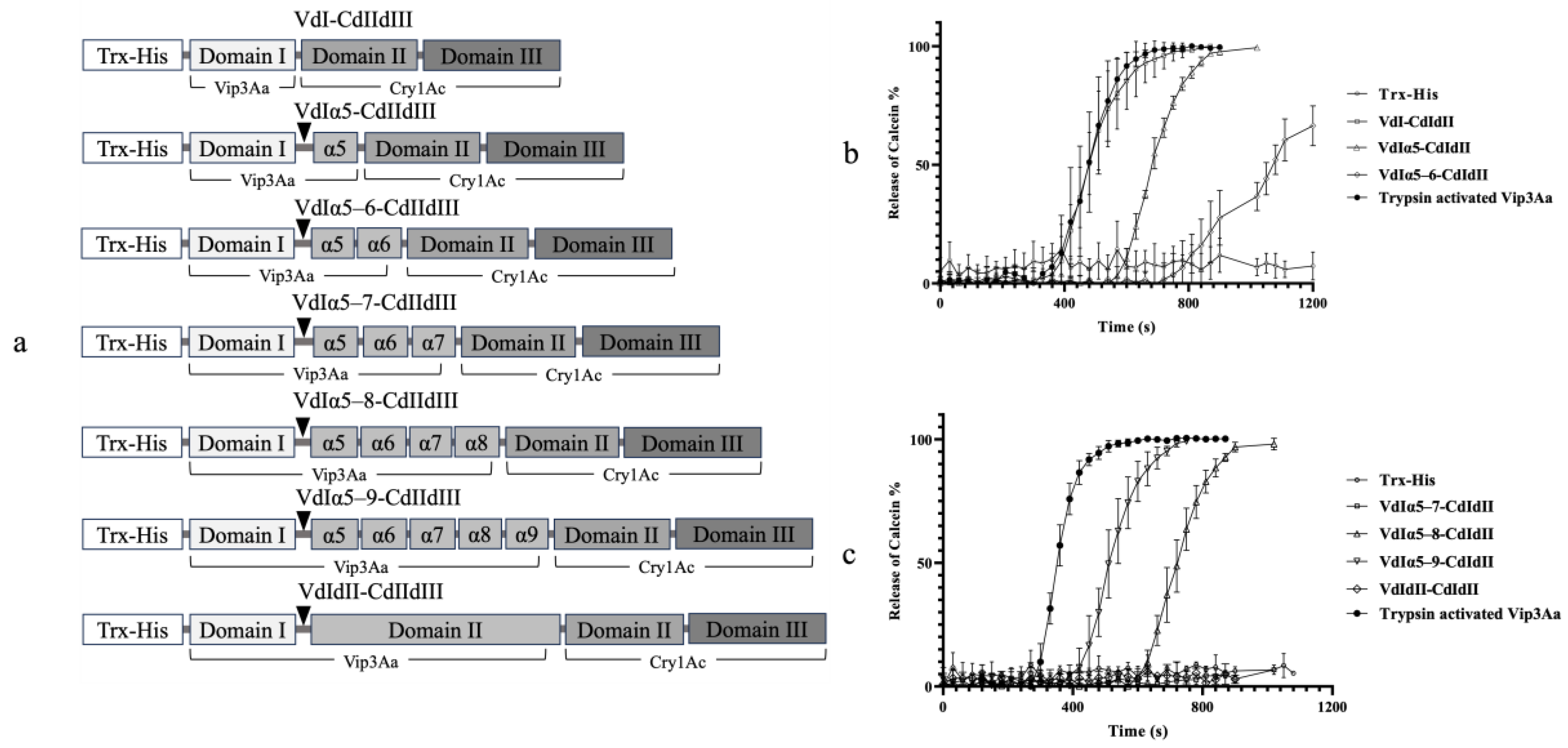 Toxins 16 00088 g003