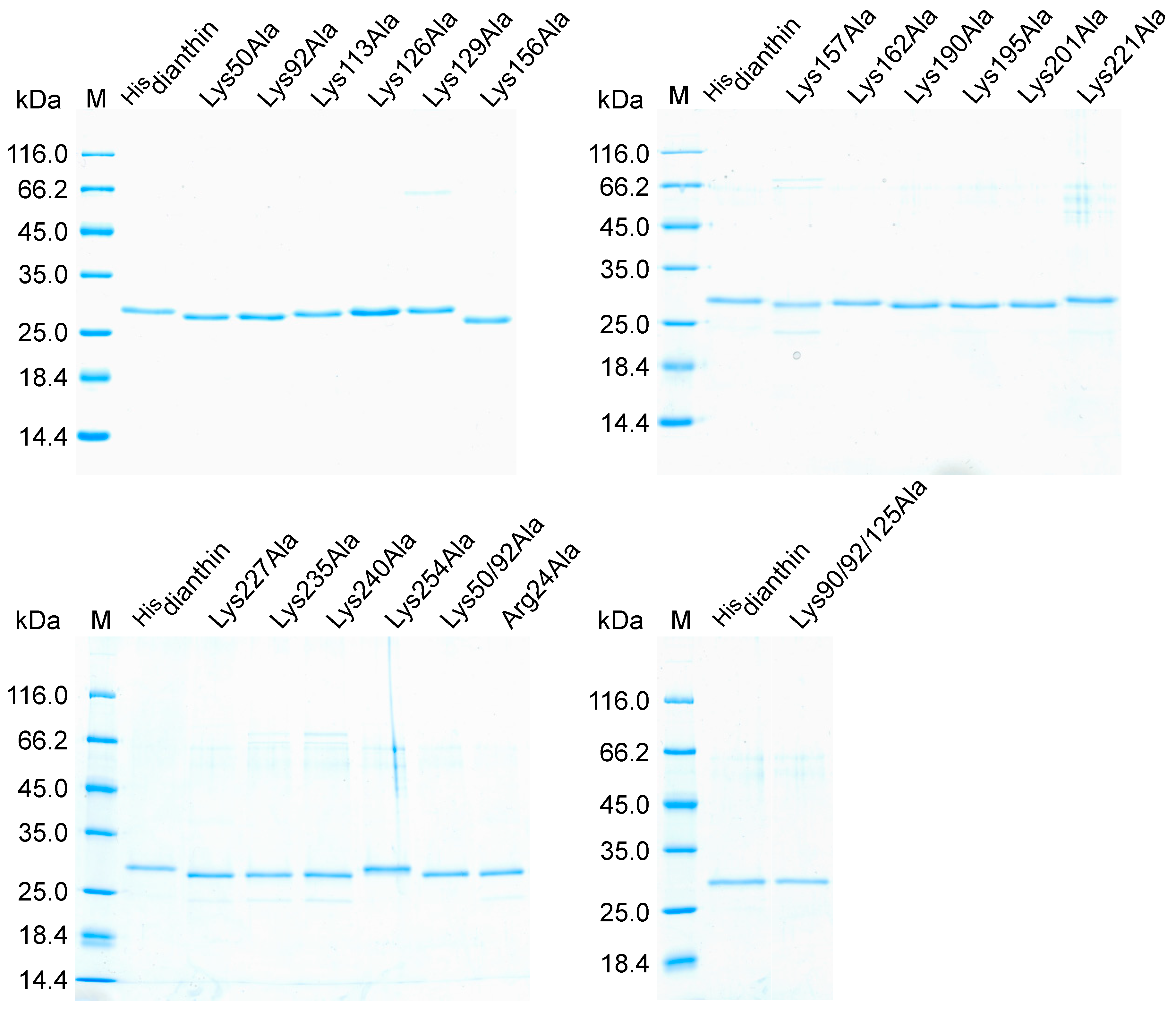 Toxins 16 00219 g001