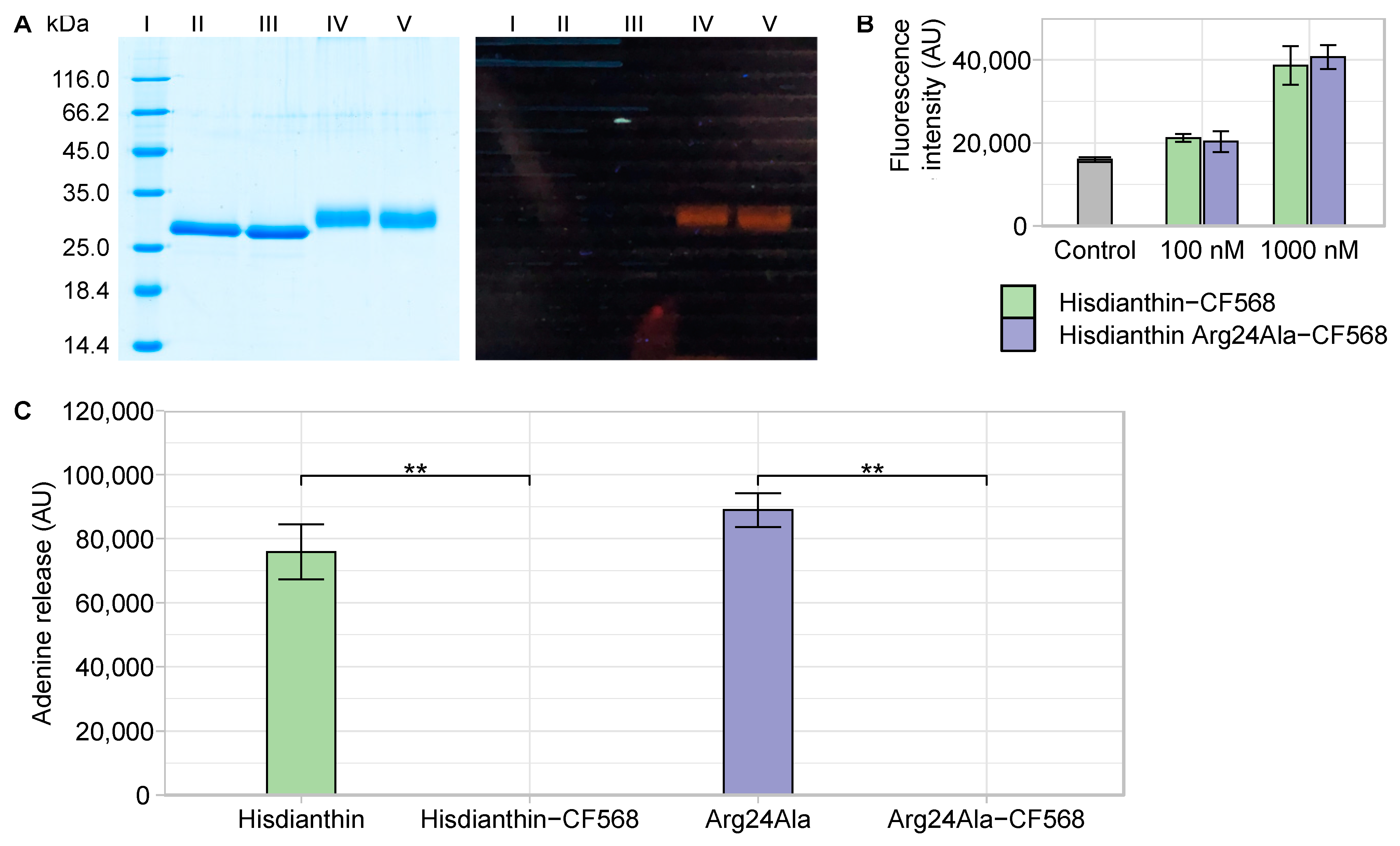 Toxins 16 00219 g007