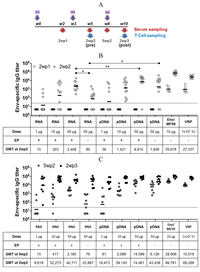 Vaccines 01 00367 g003 200
