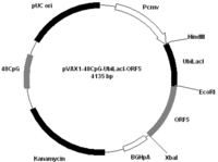 Vaccines 01 00463 g005 200