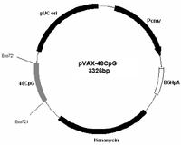 Vaccines 01 00463 g006 200