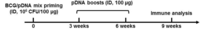Vaccines 02 00181 g001 200