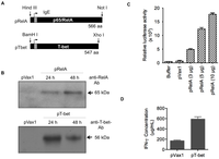 Vaccines 02 00196 g001 200