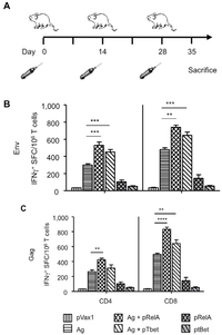 Vaccines 02 00196 g002 200