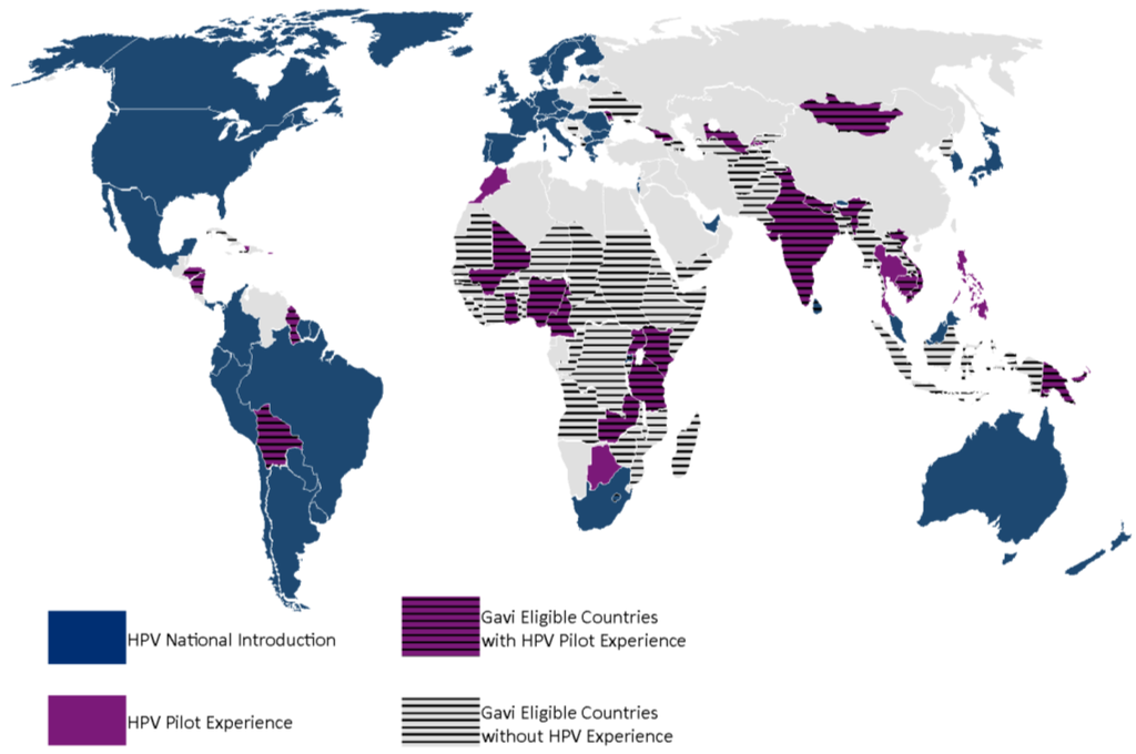 Hpv vaccine essay