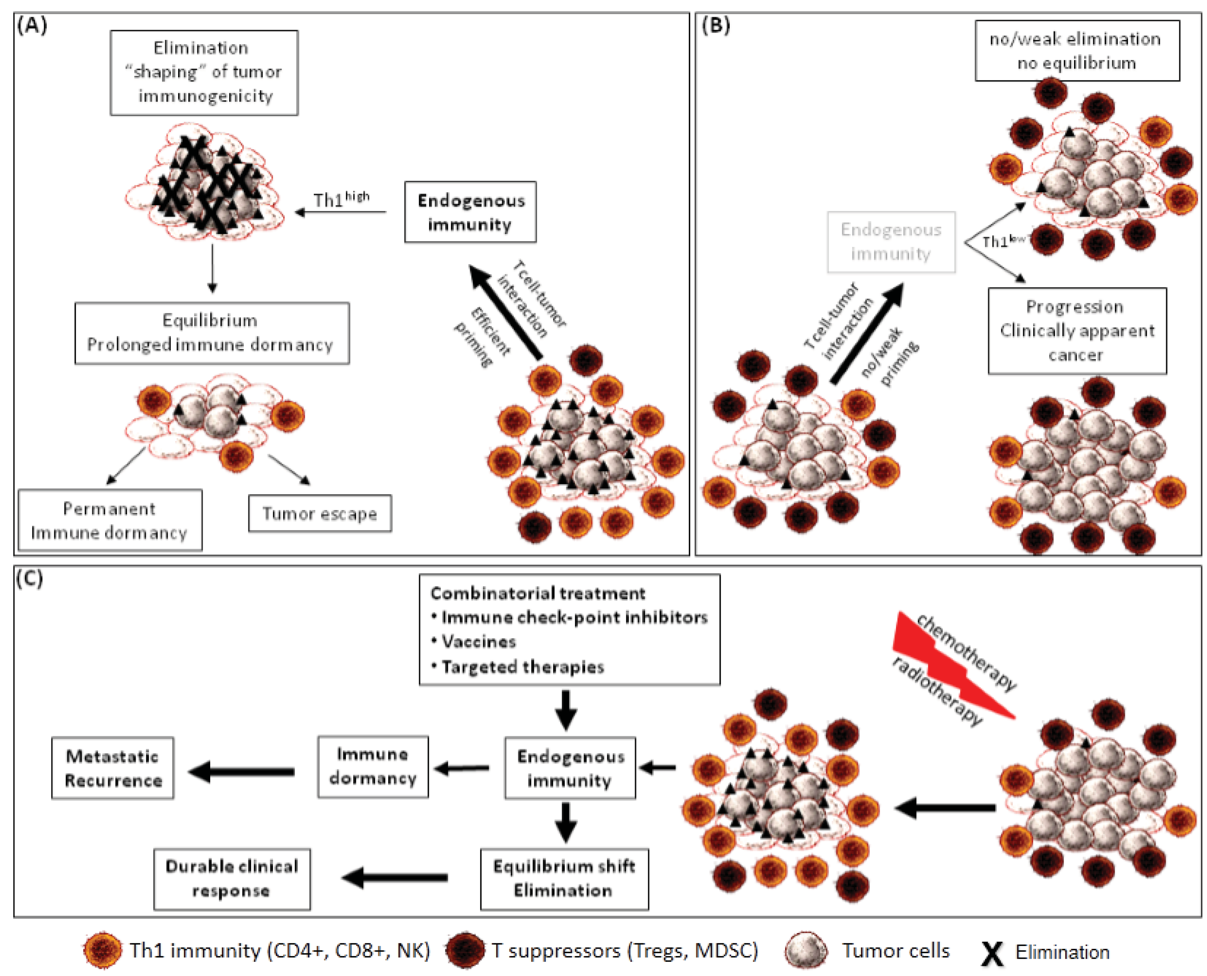 download peritrophic membranes