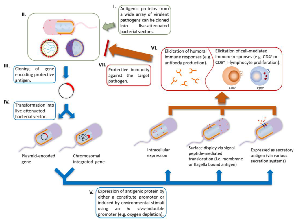 download artificial neural networks: biological inspirations ␓ icann 2005: 15th international