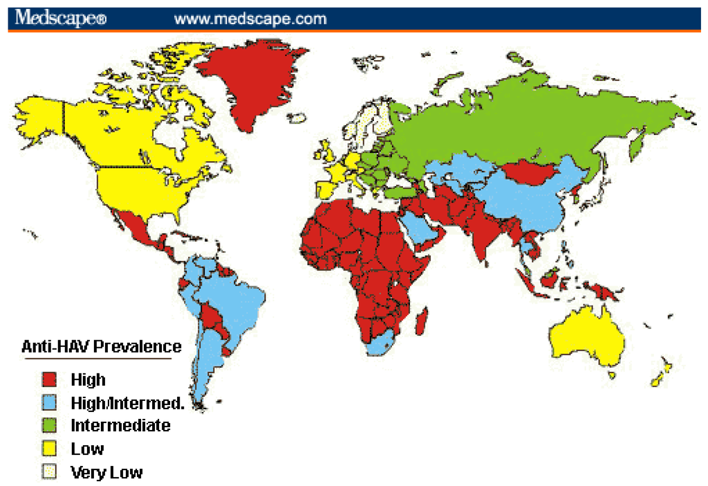 Dissertation on hcv